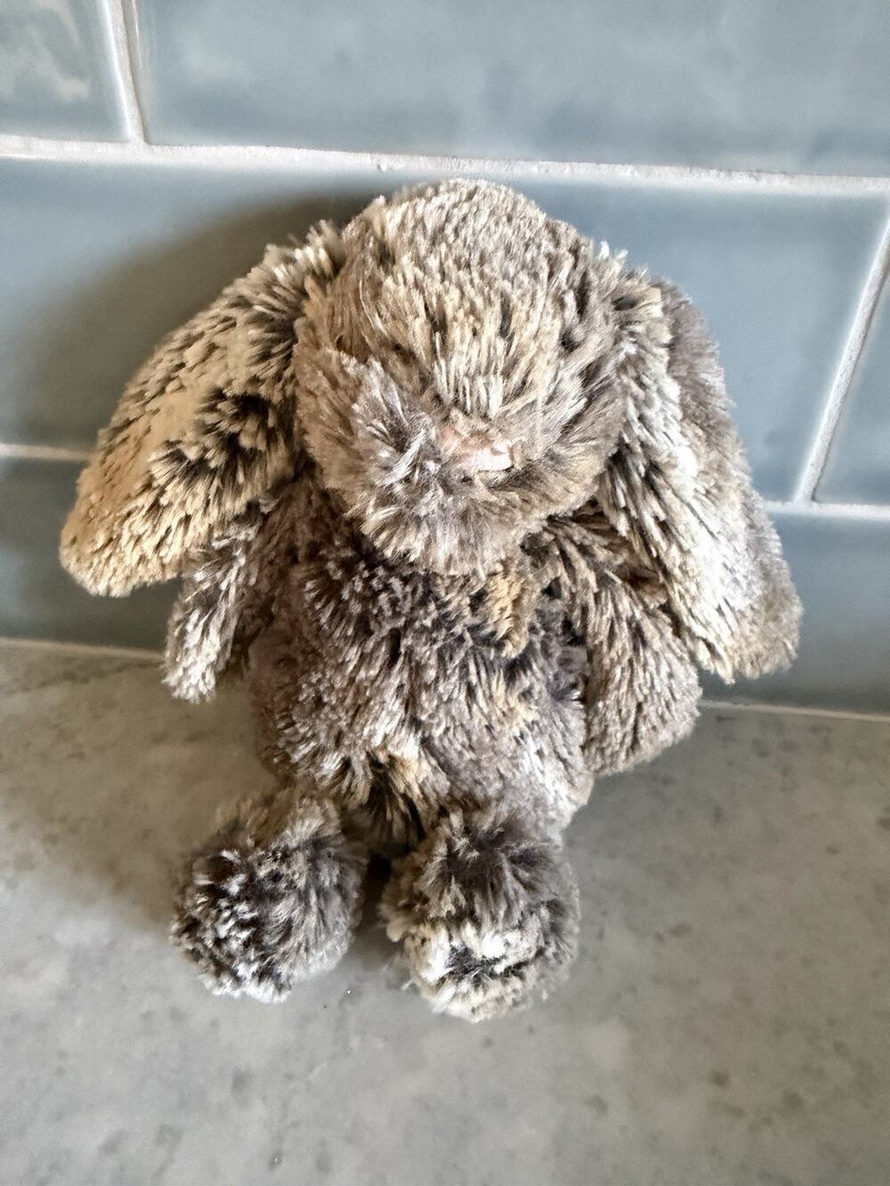 Jellycat Woodland Babe Bunny Rabbit Gray Brown Small 8” Plush London